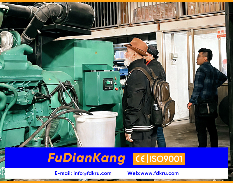 Посещение завода дизельных генераторов-FuDianKang