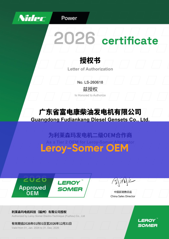 Leroy Somer OEM