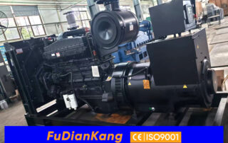 Cummins NTA855-G1B генератор FDK